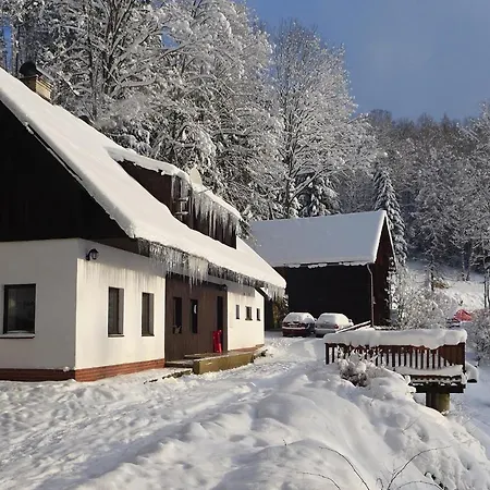 Chalupa Orlicka Holiday home Vyprachtice