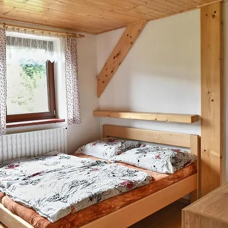 Chalupa Orlicka Holiday home Vyprachtice
