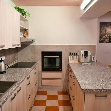 Holiday home Chalupa Orlicka *